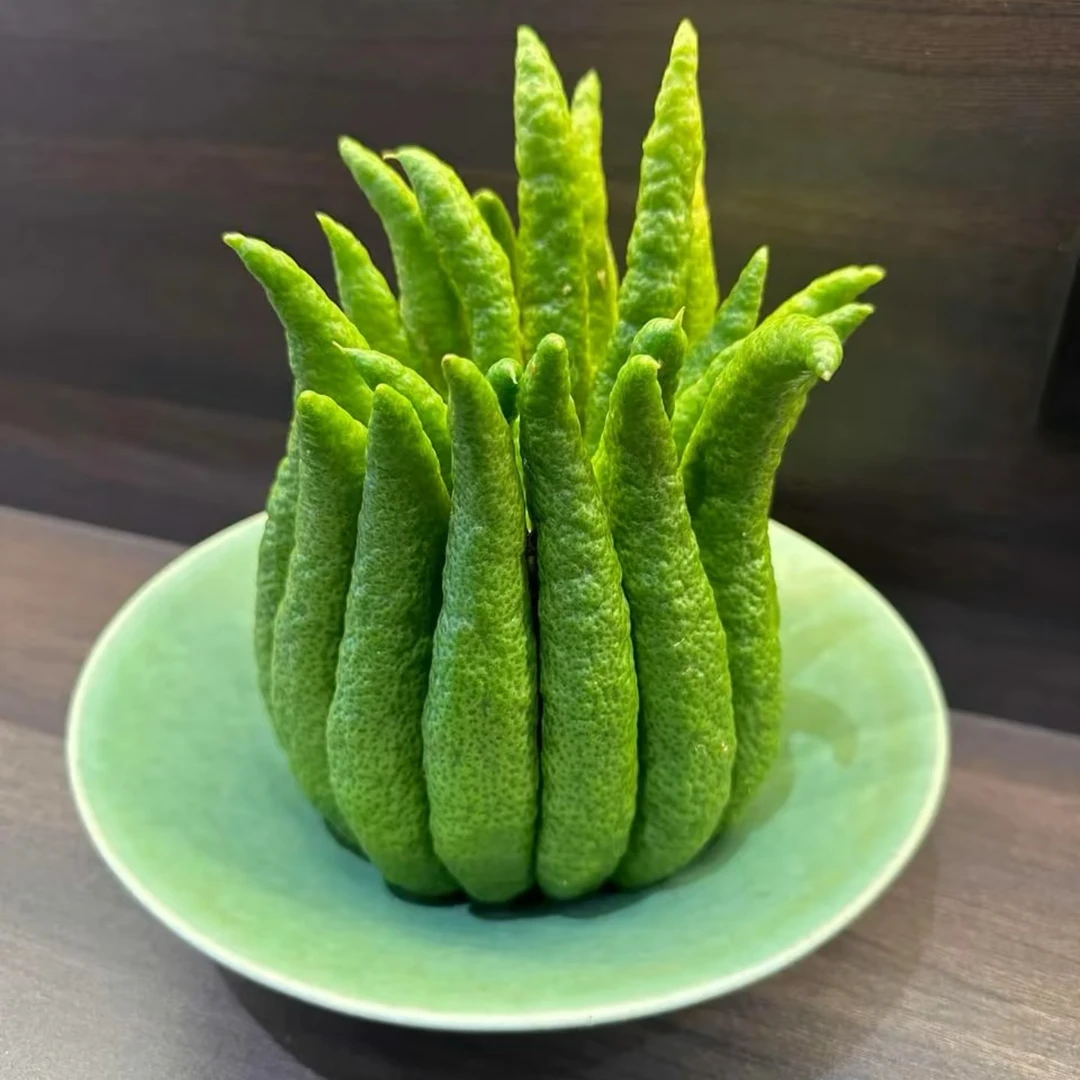鲜果高品质佛手柑（无换/精品A果 买一送一/1