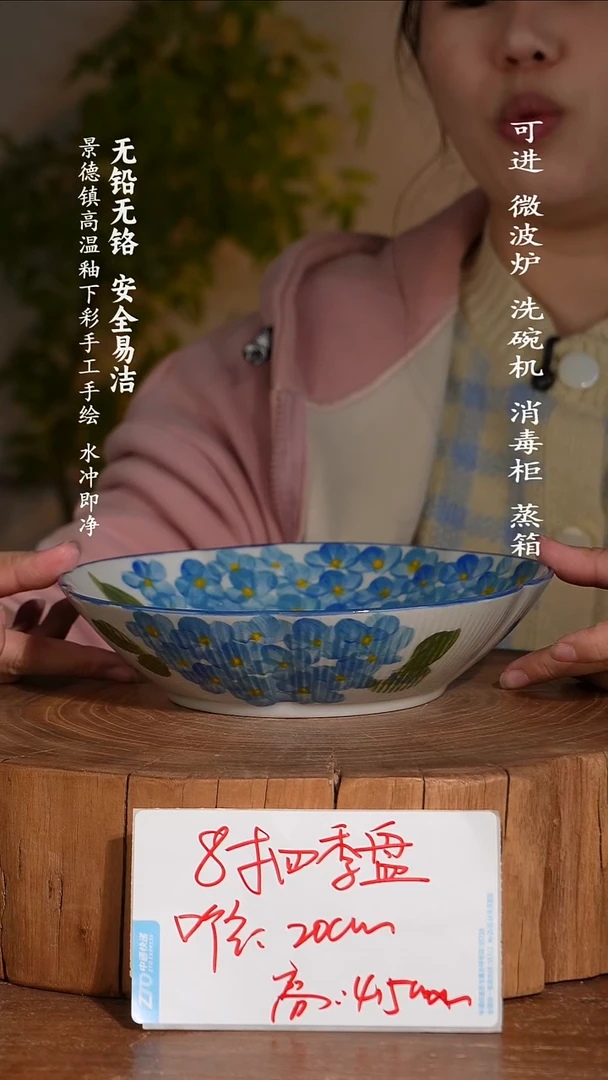 碗瓷景德镇高温瓷釉下彩手绘陶瓷