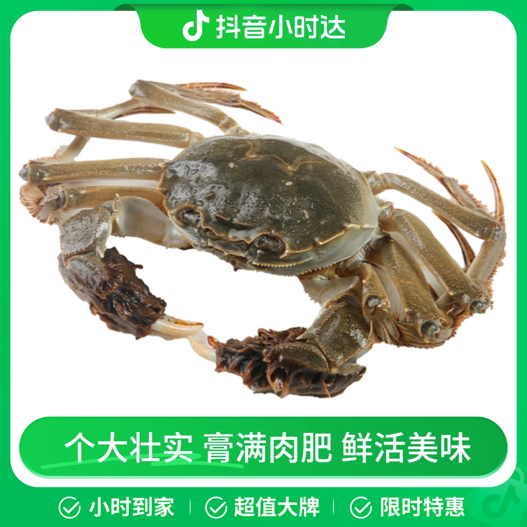 【4只】精品大闸蟹 公蟹约3两*2只、母蟹约2.5两*2只