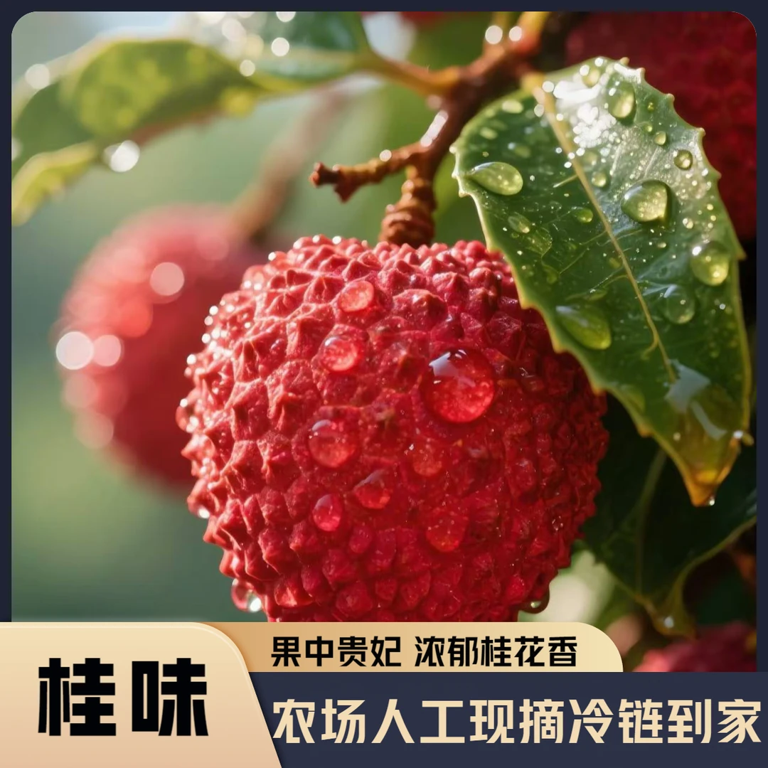 【顺丰京东冷链】果中贵妃荔枝人工严选桂味现摘现发爆甜多汁A