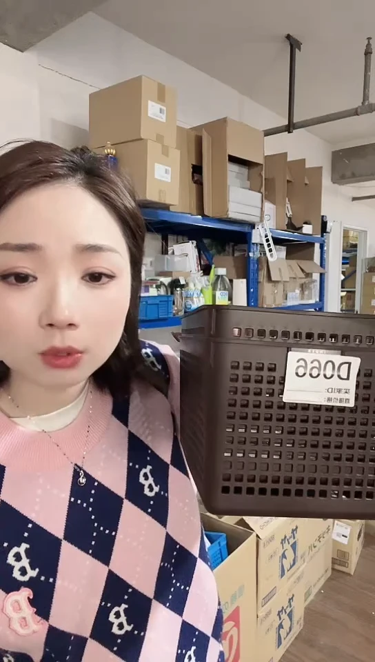 瓷片进口家用百货棕色收纳篮两只B066