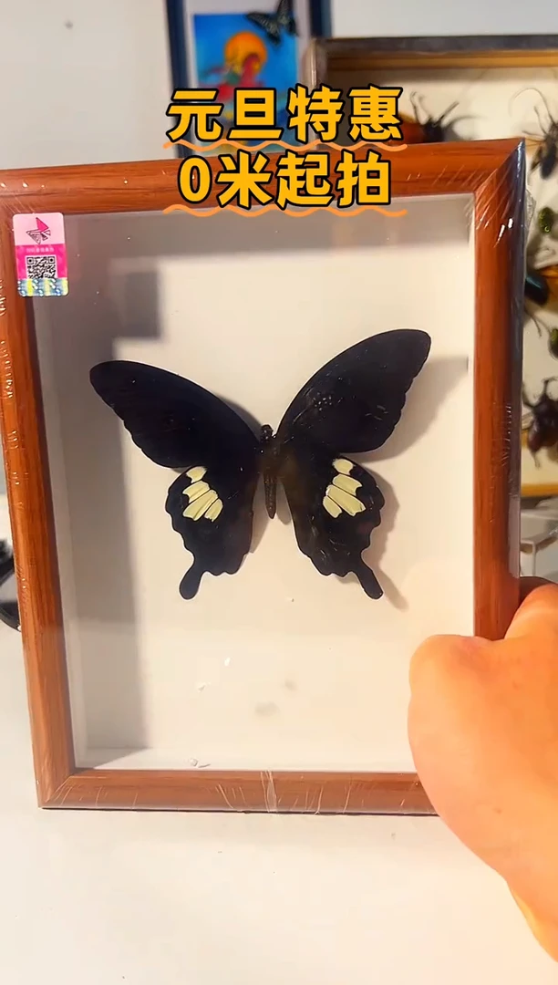 有机玻璃879466879