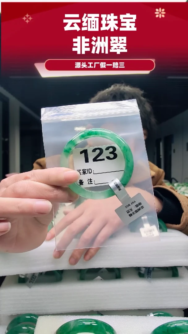 未镶嵌手镯石英质玉（非洲翠）54圈口123