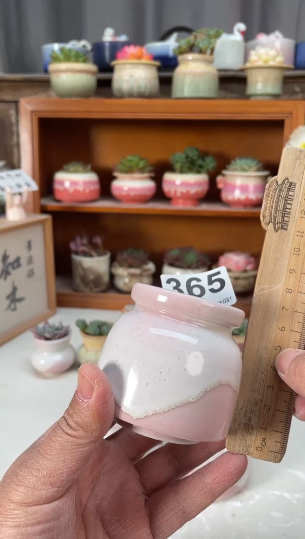 瓷片365小芳直播编号