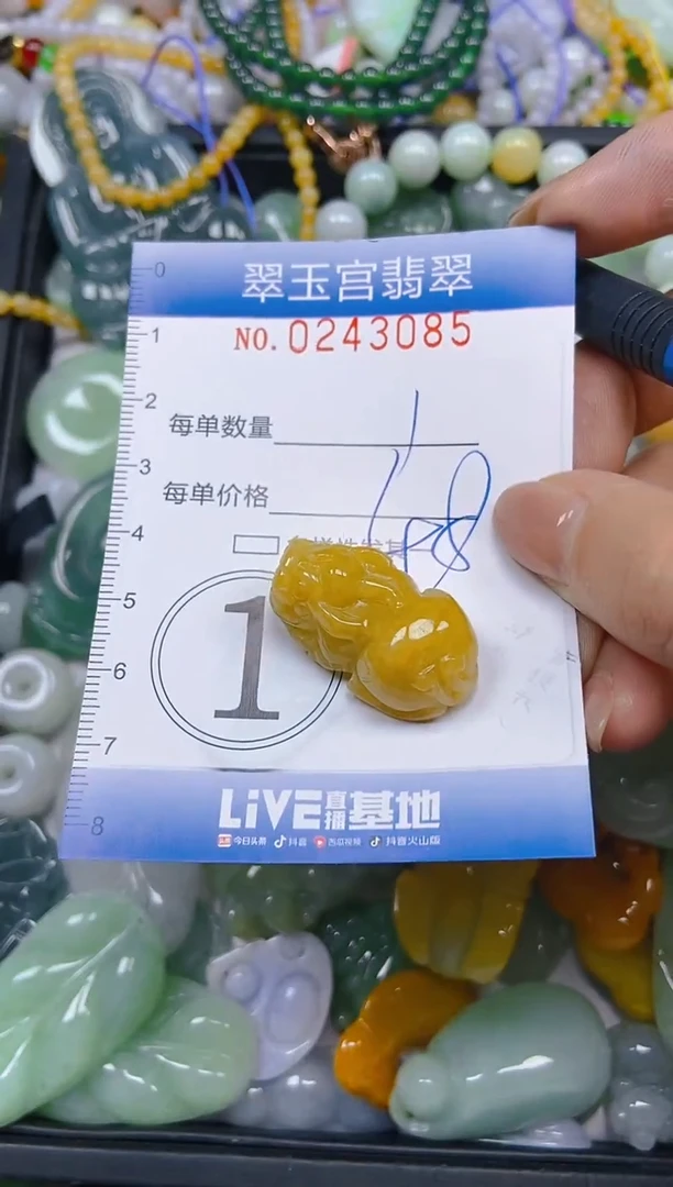 颈饰未镶嵌翡翠闪购C0243085