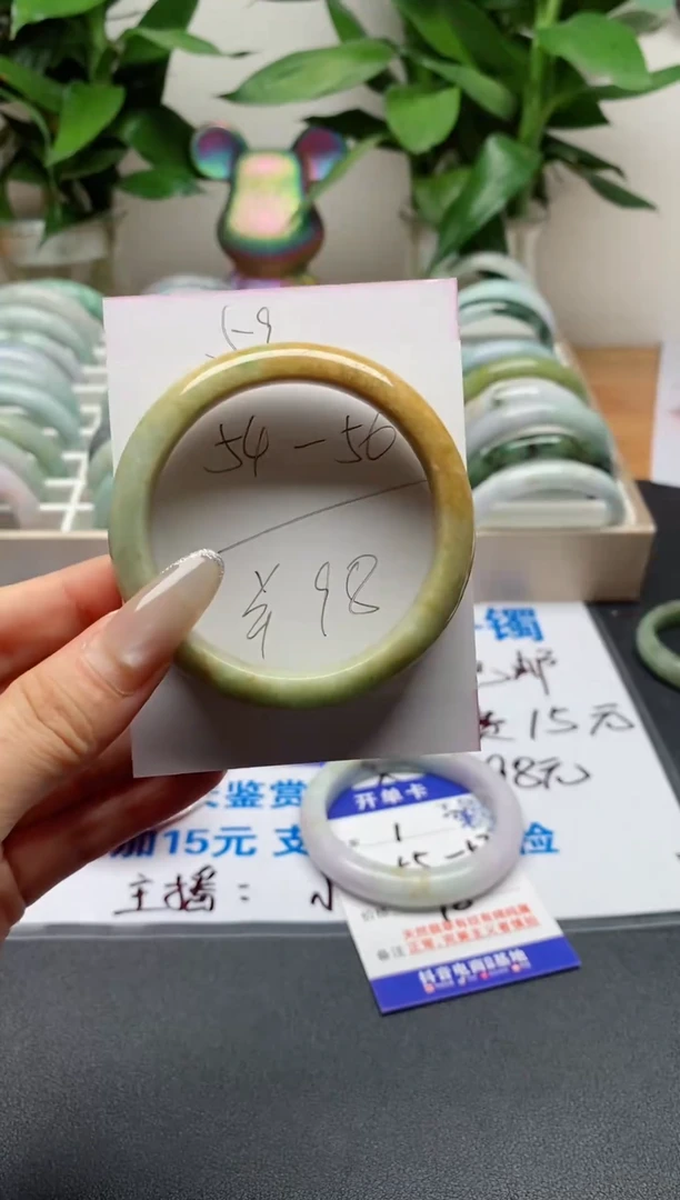 未镶嵌手镯翡翠59