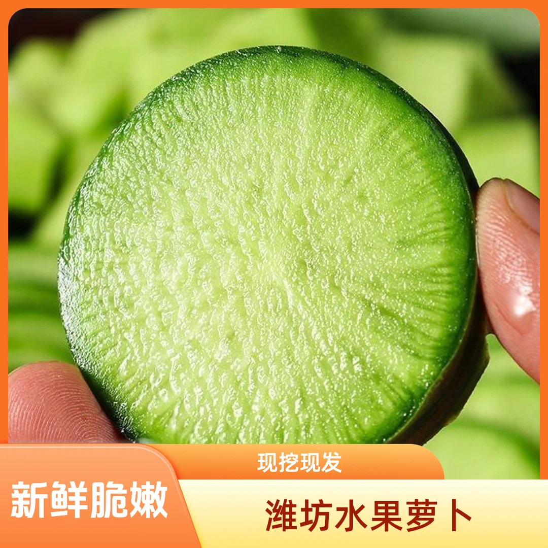 水果萝卜山东萝卜3斤5斤9斤潍坊原产地直发脆嫩青萝卜脆甜爽口