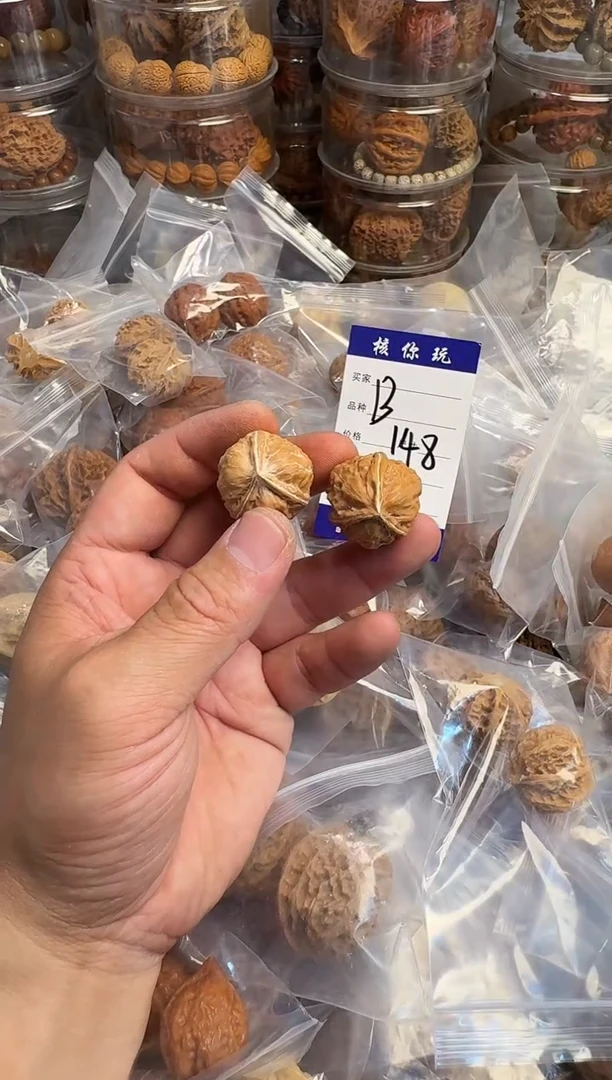 定向 崇尚自由    B148