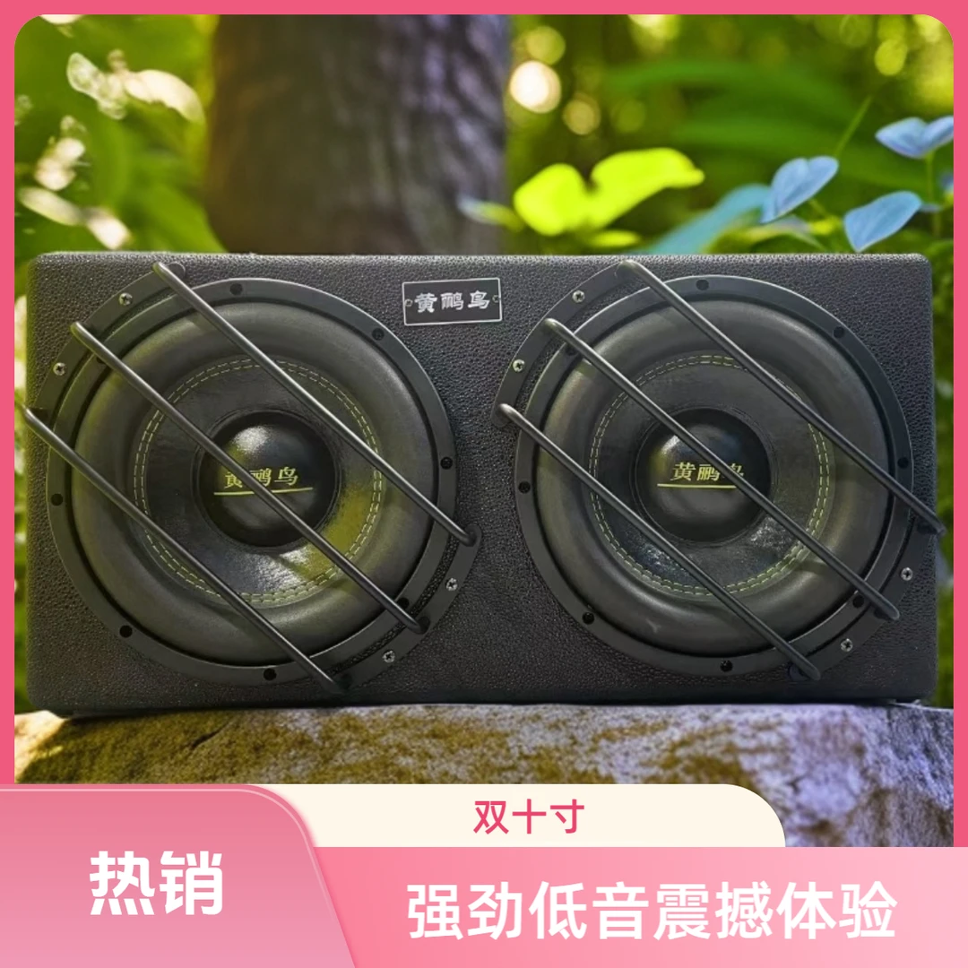 黄鹂鸟双10寸超重有源蓝牙低音炮音响家用车用220v12v24v可K歌