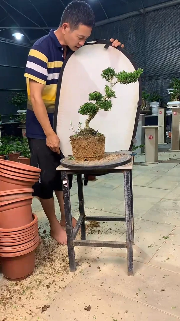 完全开放静**庄111111