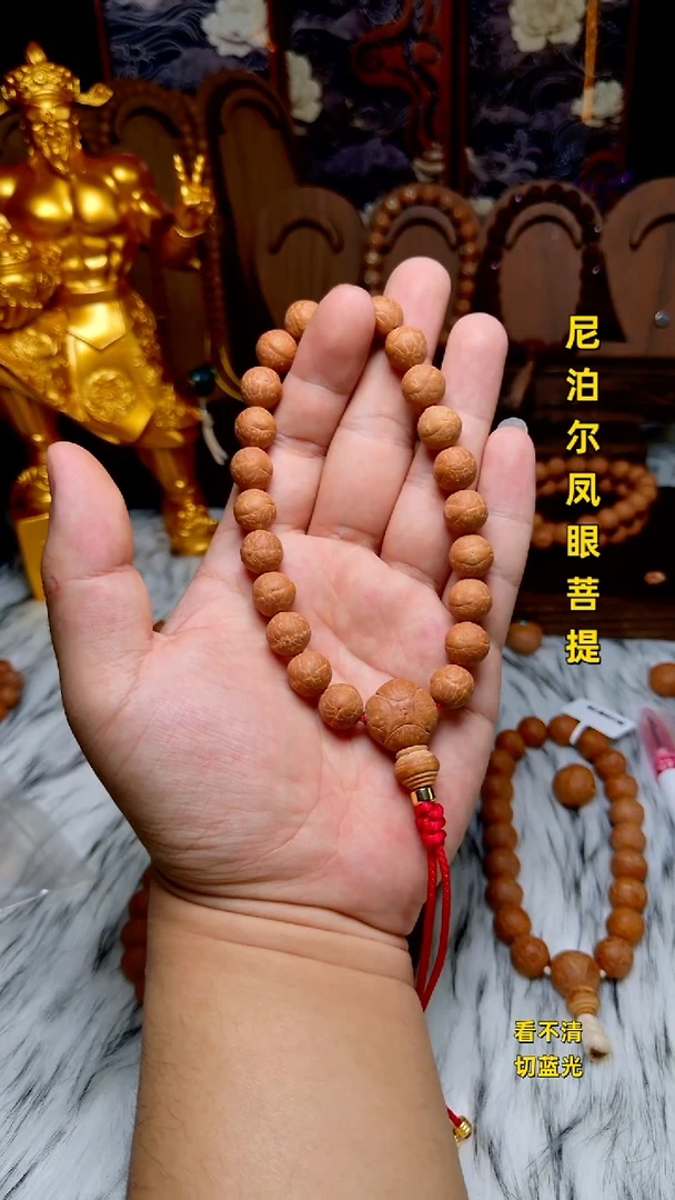 手串凤眼菩提新籽11