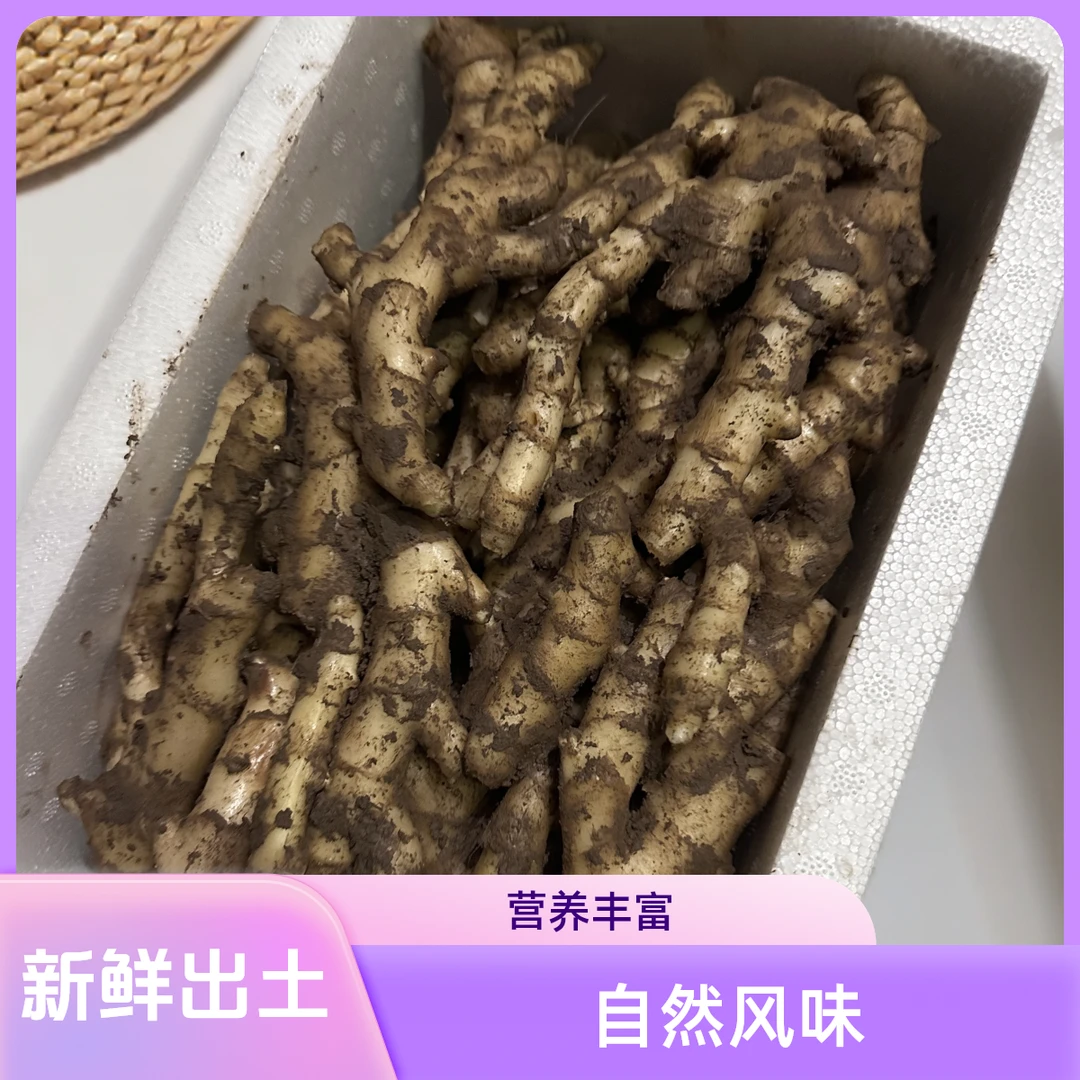 重庆现挖新鲜生姜农家种植辛辣味美