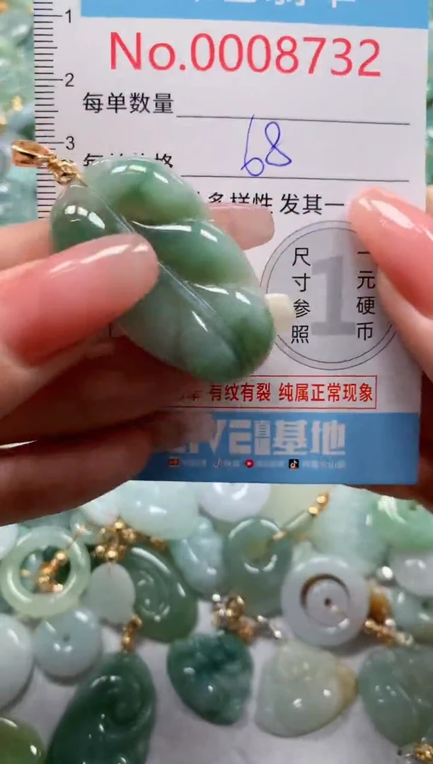 翡翠未镶嵌吊坠(不含链)8732
