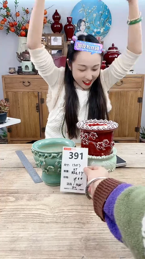 【闪购商品】红陶391