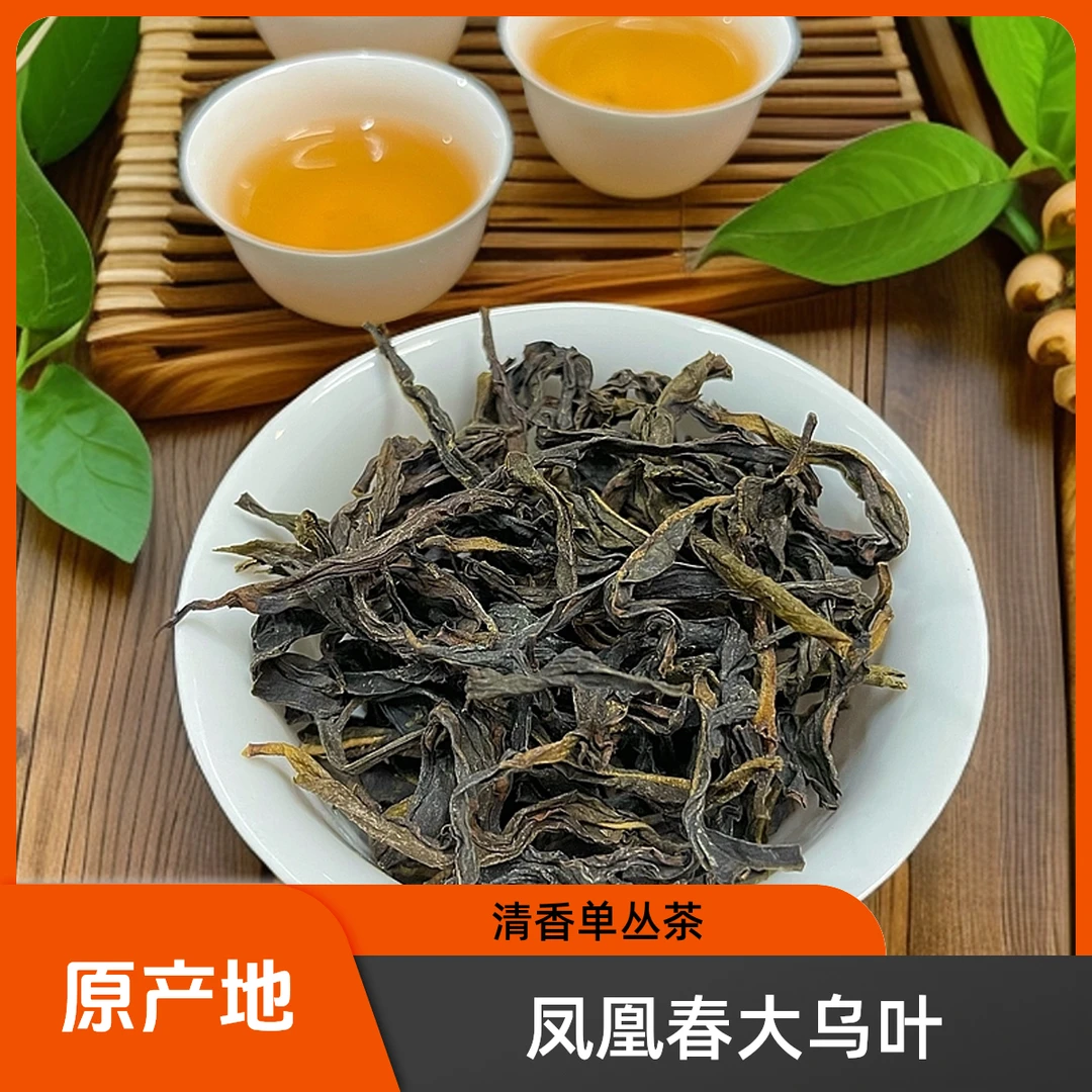 2025精品春大乌叶3号清香型凤凰单丛茶单丛凤凰茶原产地