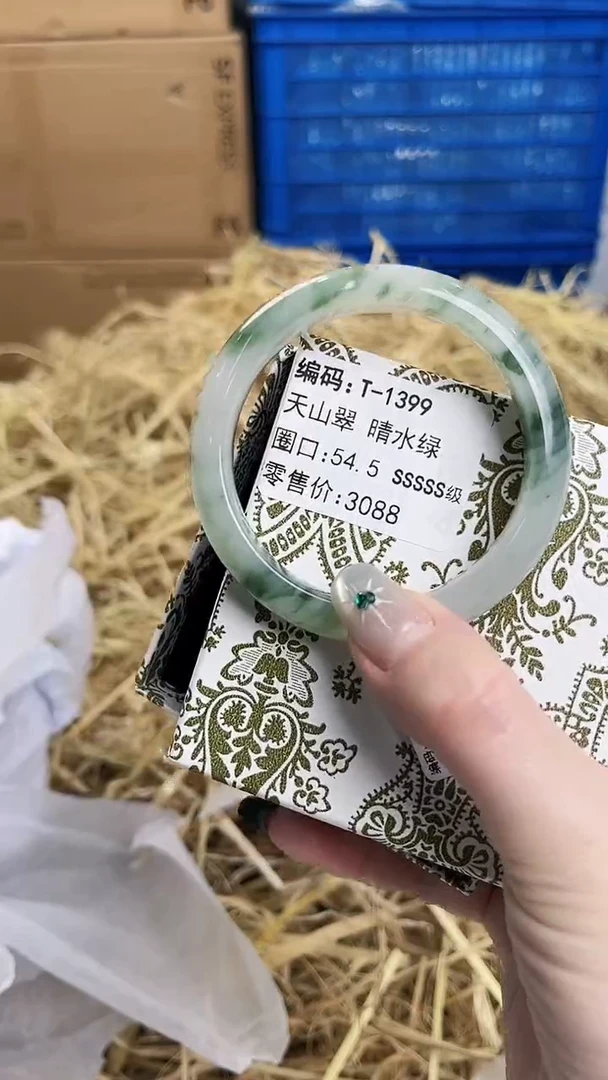 未镶嵌手镯石英质玉T-1399