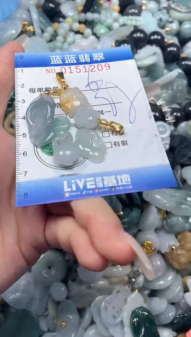 【闪购商品】翡翠颈饰未镶嵌闪购0151209