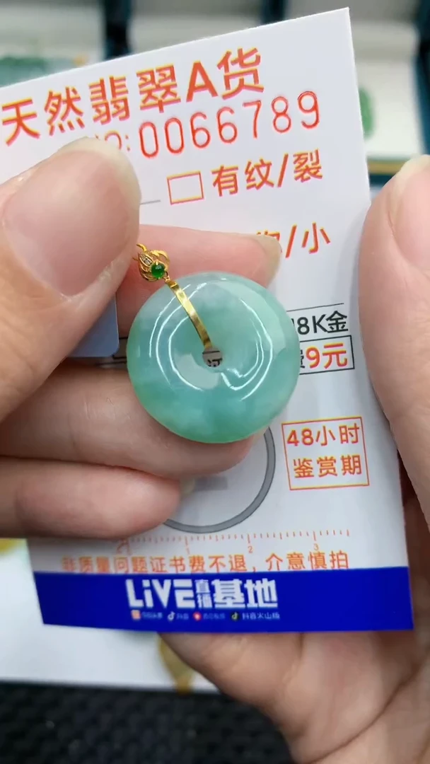 【闪购商品】翡翠颈饰18K金镶嵌            8