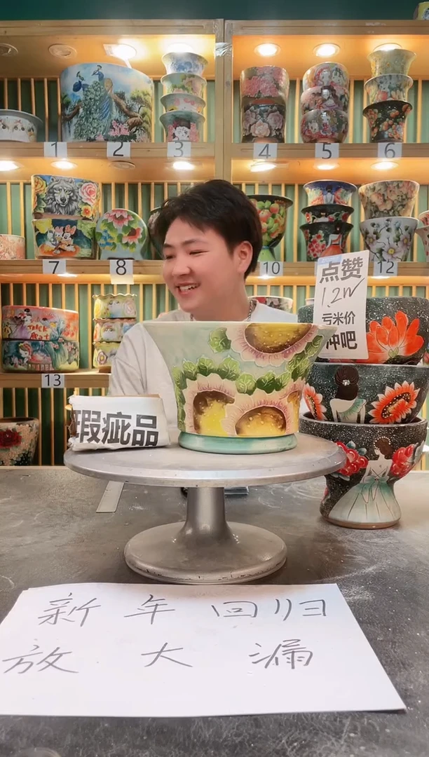 【闪购商品】瓷片默认微瑕一物一拍0211-272