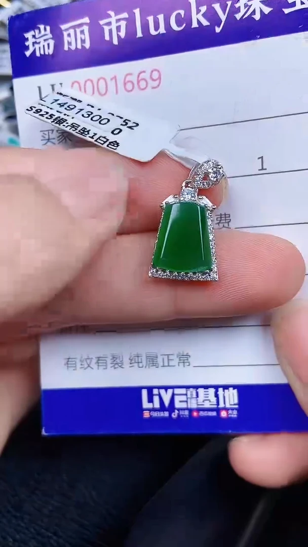 颈饰银S925镶嵌翡翠1669