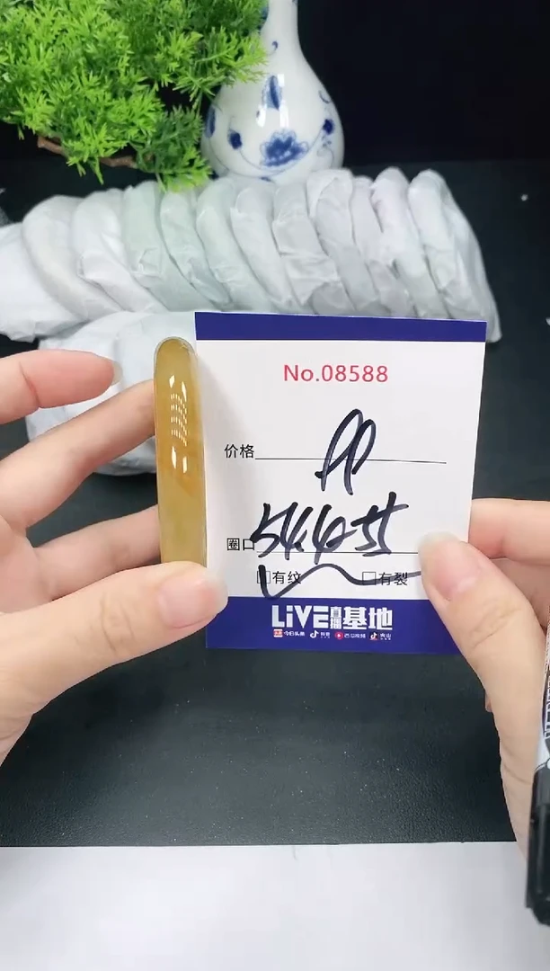 未镶嵌手镯翡翠8588