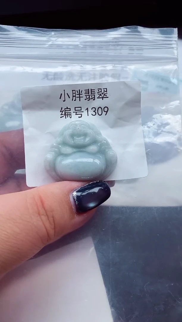 颈饰未镶嵌翡翠缅甸天然A货翡翠1309