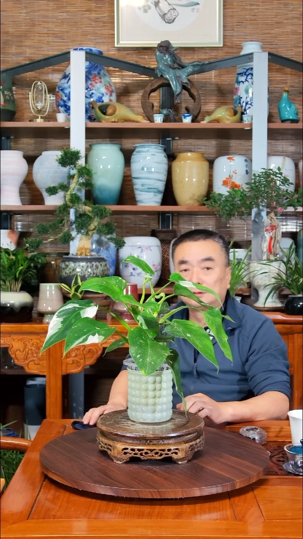 无花朵笨**笨水之韵水培白巫师