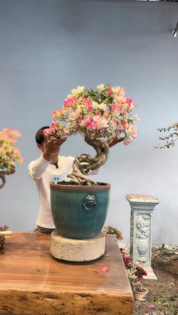 【闪购商品】aa975