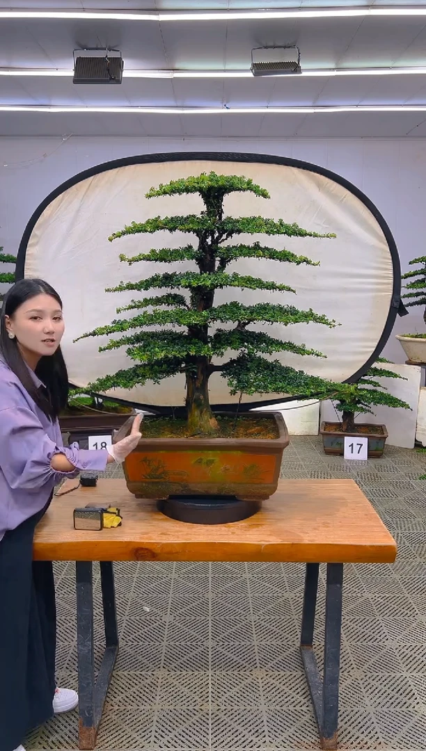 无花朵一物一拍一物一拍