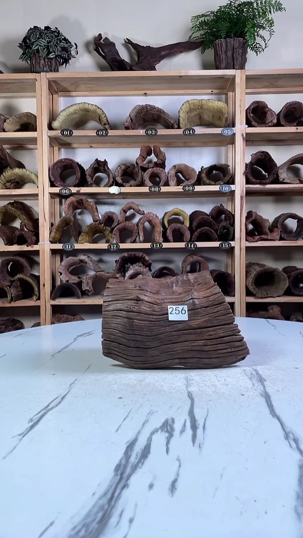 ?云南紫柚木造景沉木256