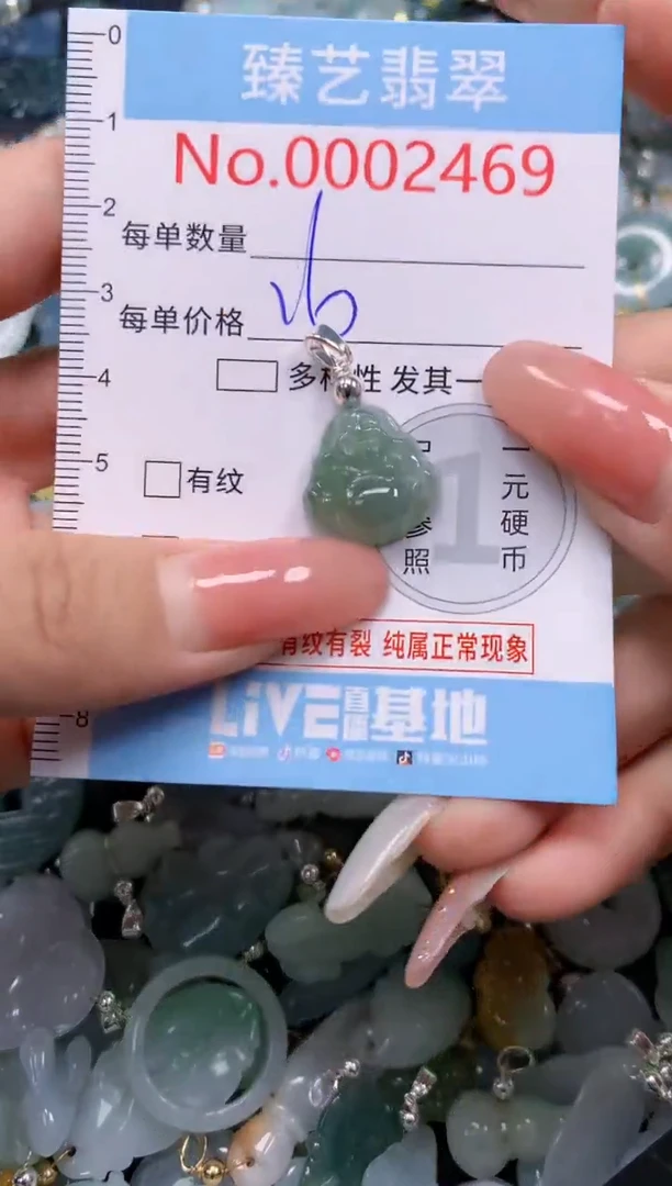 翡翠未镶嵌吊坠(不含链)2469