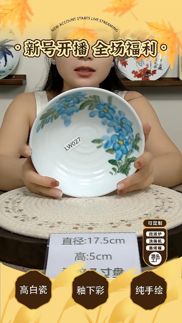 碗景德镇手绘釉下彩陶瓷餐具