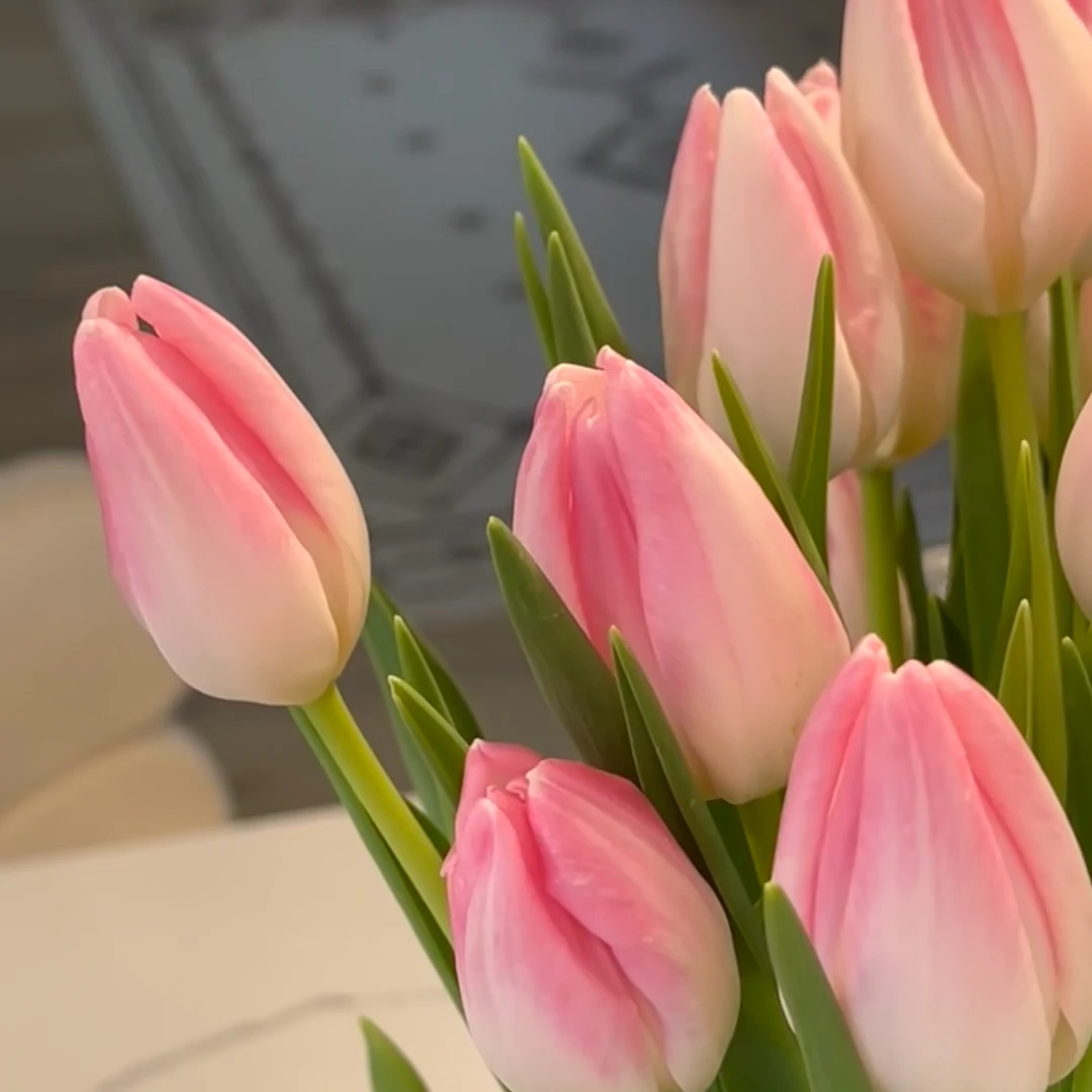粉色郁金香10支（家庭瓶插花）