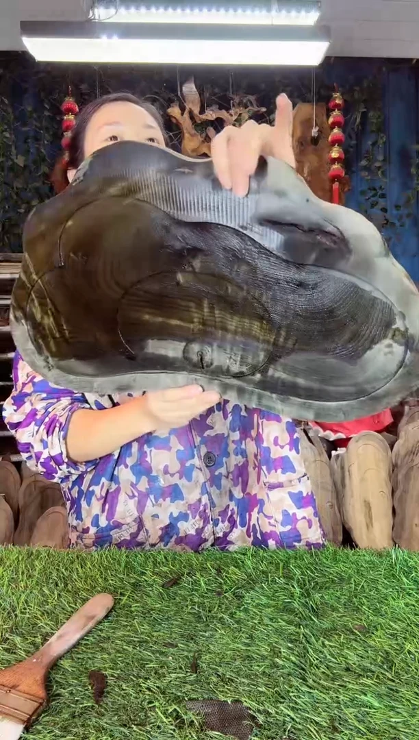 金丝楠小叶桢楠66