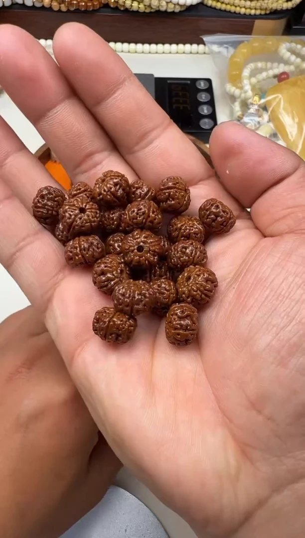 手串金刚菩提金刚菩提