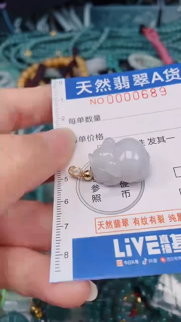 颈饰未镶嵌翡翠00000689