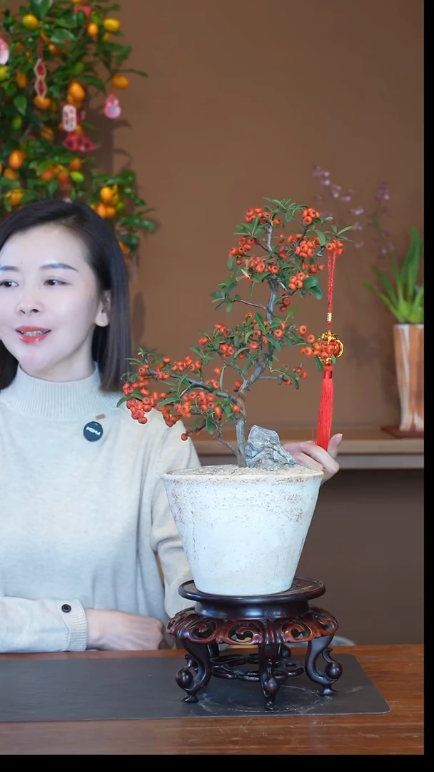 全部花朵吉祥果盆景