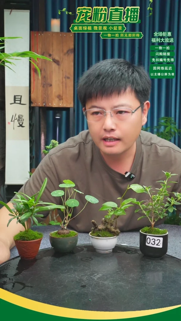 无花朵＊****爺苔藓微景观032号