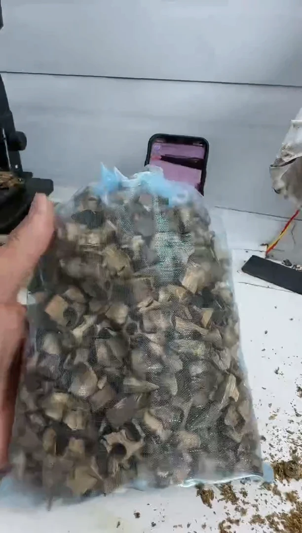 【闪购商品】沉香沉香碎屑绿棋楠沉香碎料300克