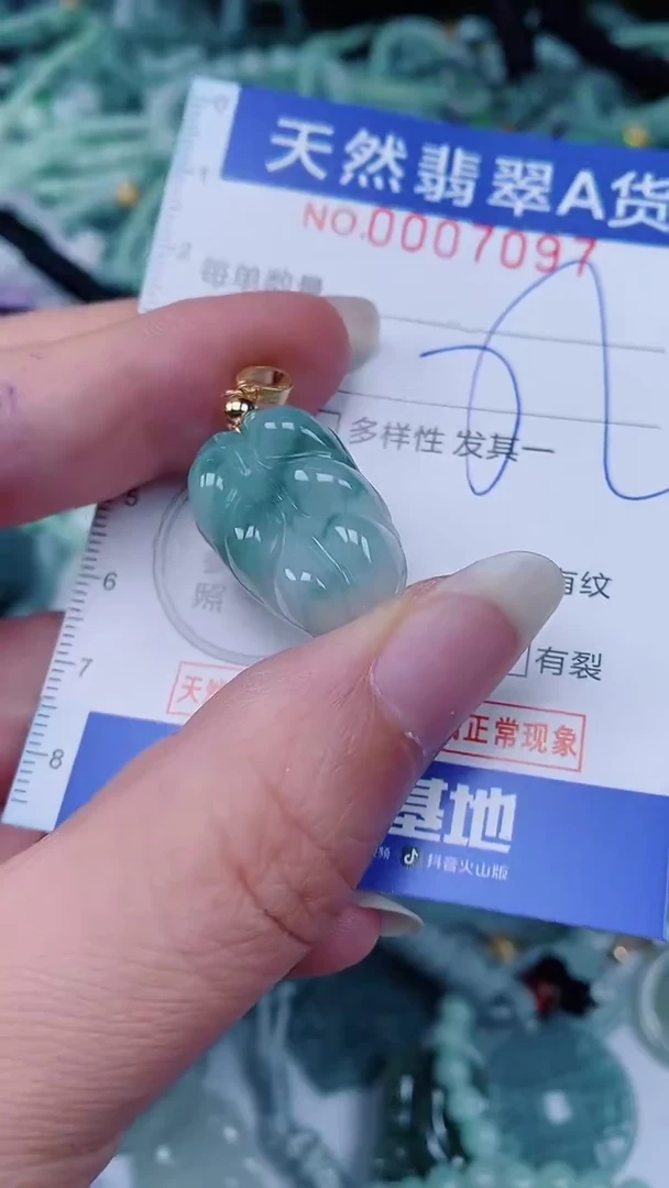 翡翠未镶嵌颈饰00007097