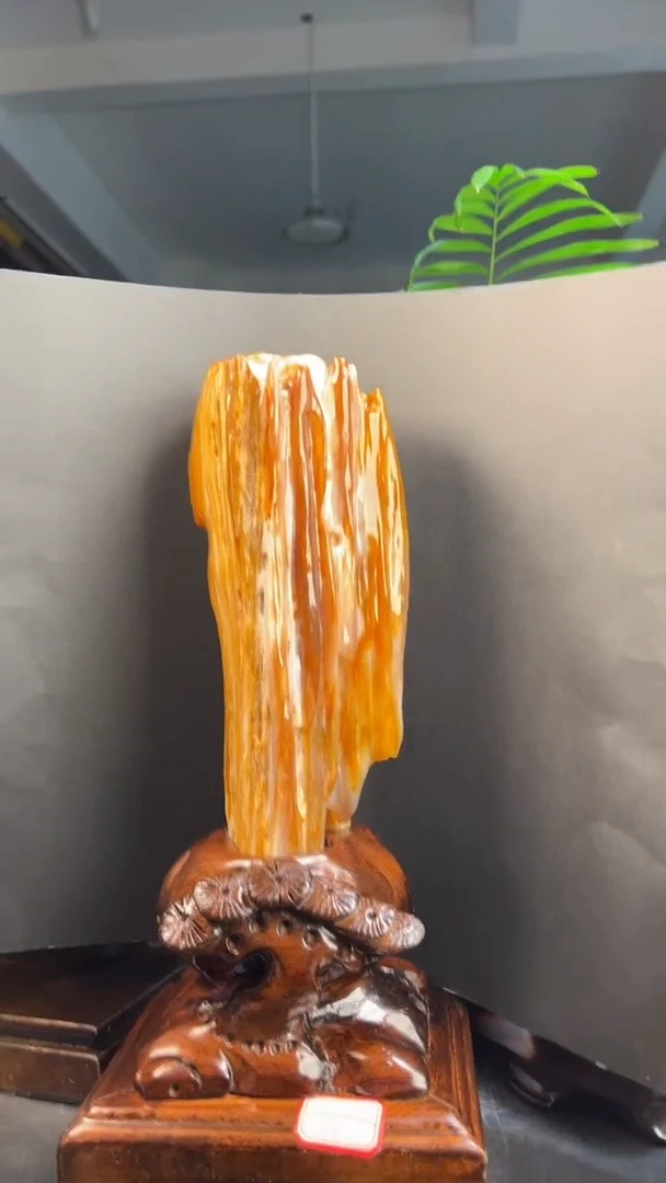 未镶嵌硅化玉（树化玉）珠宝奇石?****?0520