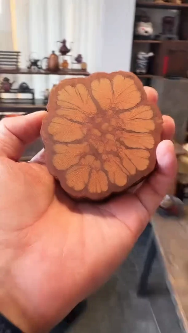 【闪购商品】茶道配件茶道配件2.0  2个一组