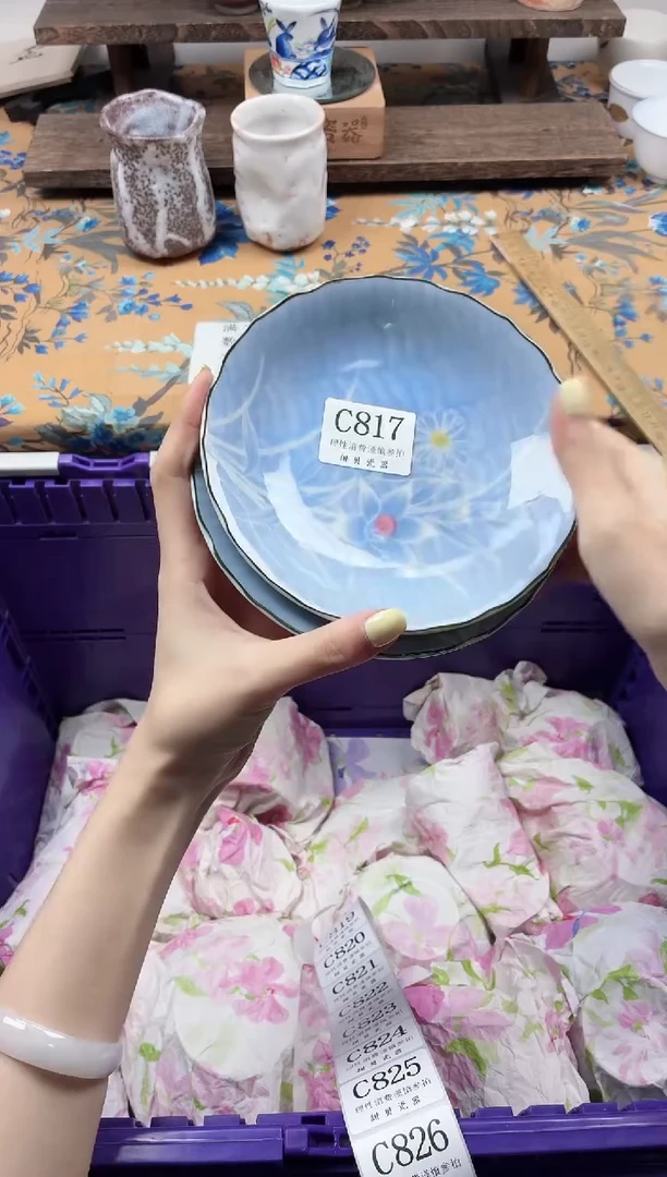 瓷片猫**多                C817