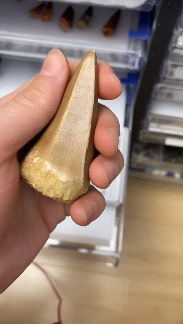 F****b精美摆件创意礼物家居配饰新年礼物个人收藏