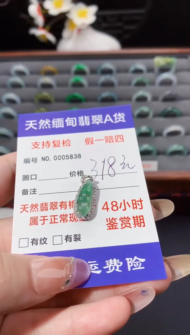 颈饰未镶嵌翡翠豆子