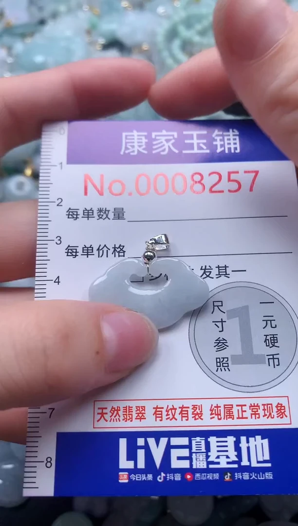 颈饰未镶嵌翡翠8257
