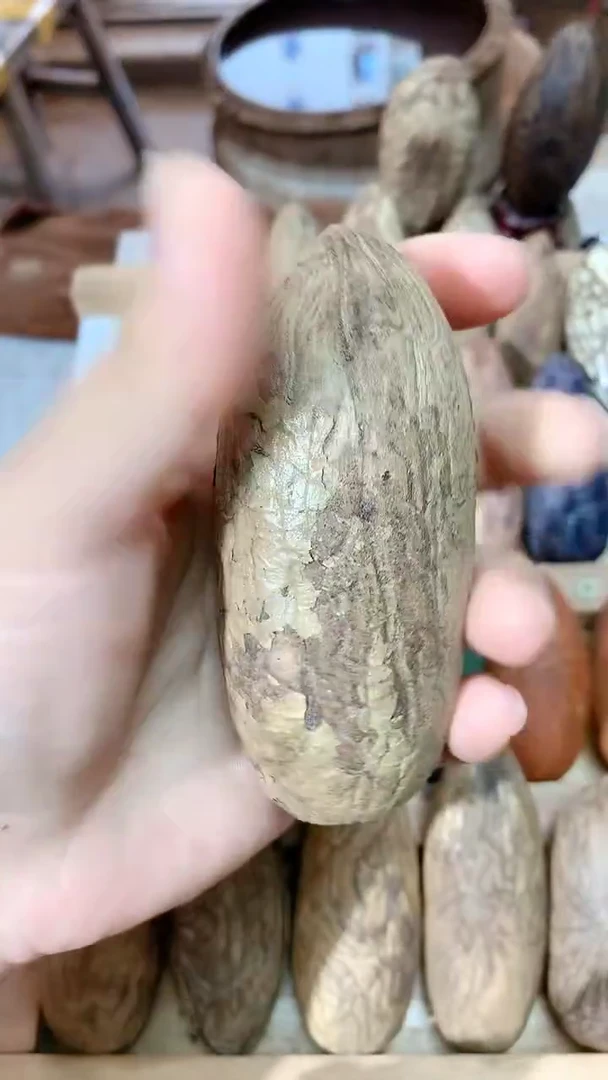 莫*忘千眼菩提特大果王一个