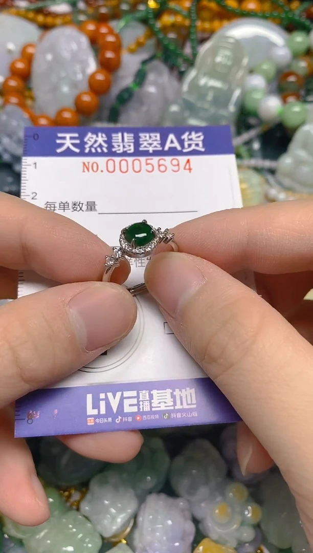 颈饰未镶嵌翡翠0005694