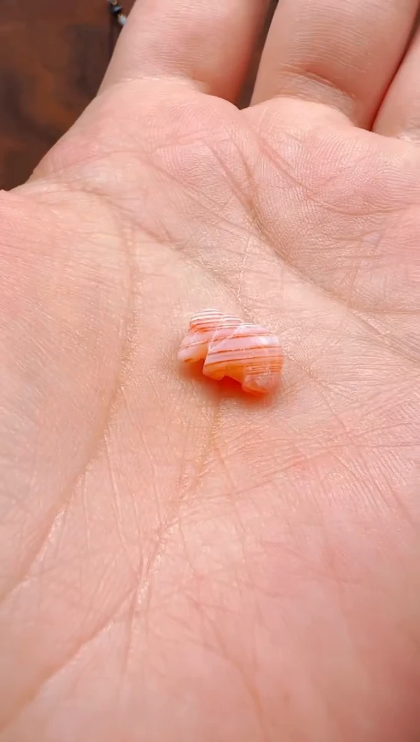 【肖钟出品】东南亚配珠