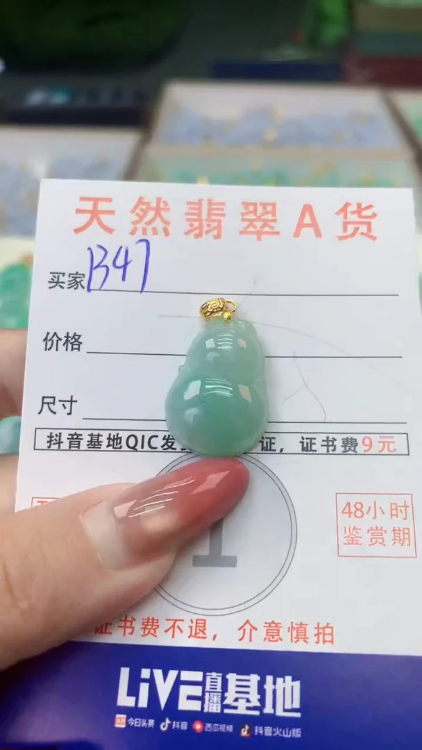 颈饰银S925镶嵌翡翠天然A货翡翠挂件